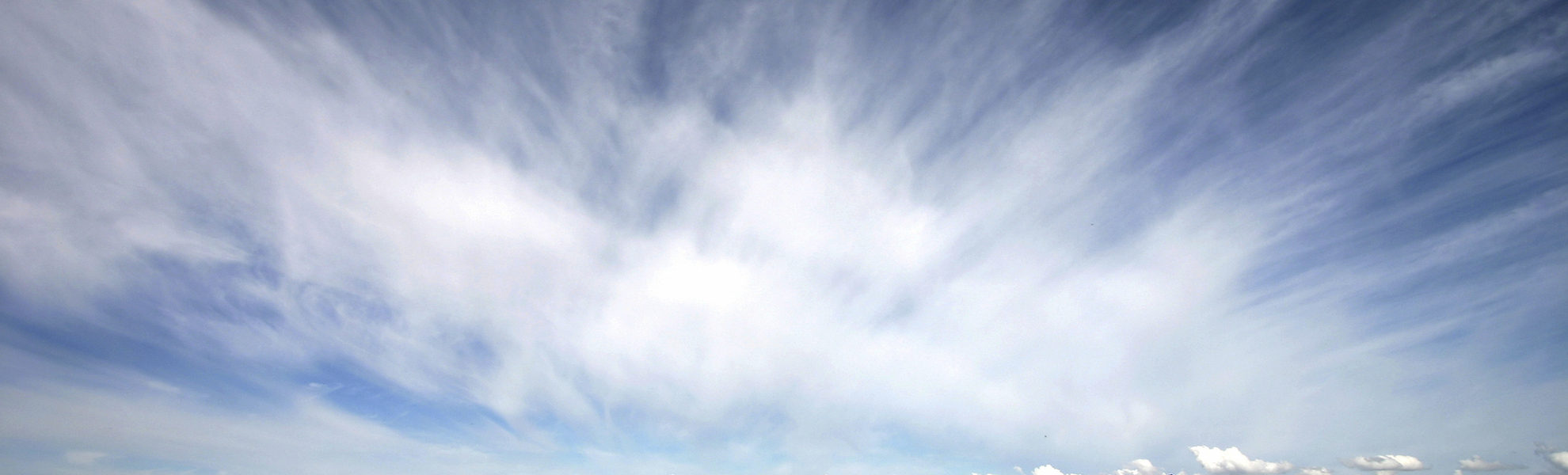 Islandpferde nahe Akureyri, Island