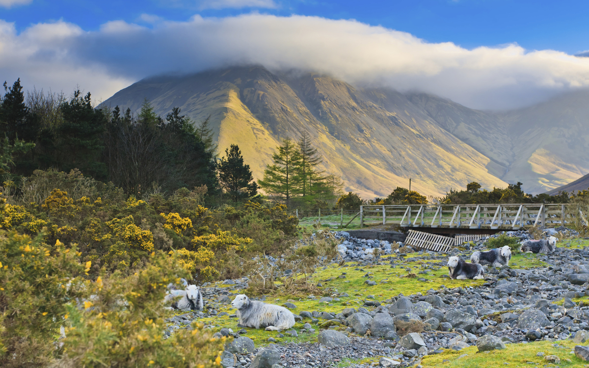 Landschaft bei Lerwick auf den Shetlandinseln, Schottland