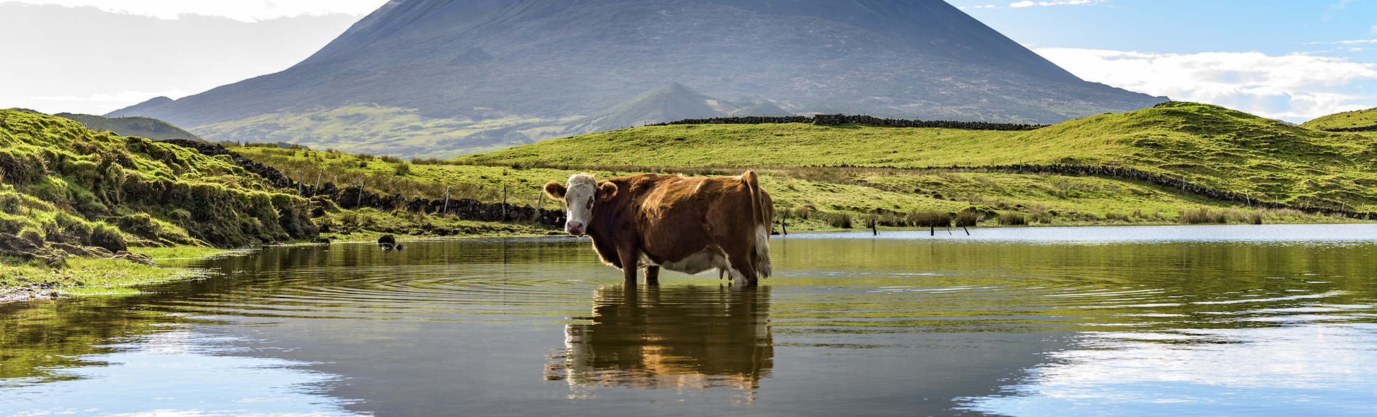 malerische Landschaft auf der Insel Pico, Azoren