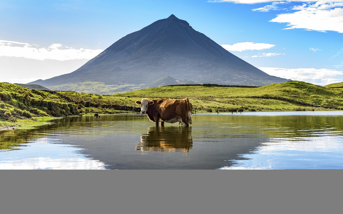 malerische Landschaft auf der Insel Pico, Azoren