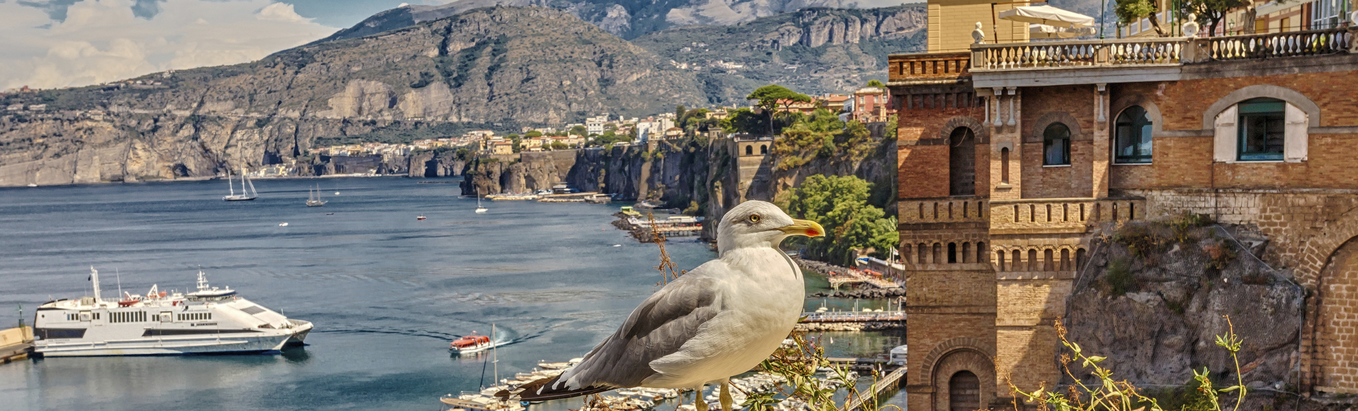 Möwe an der Küste und Hafen von Sorrent, Italien