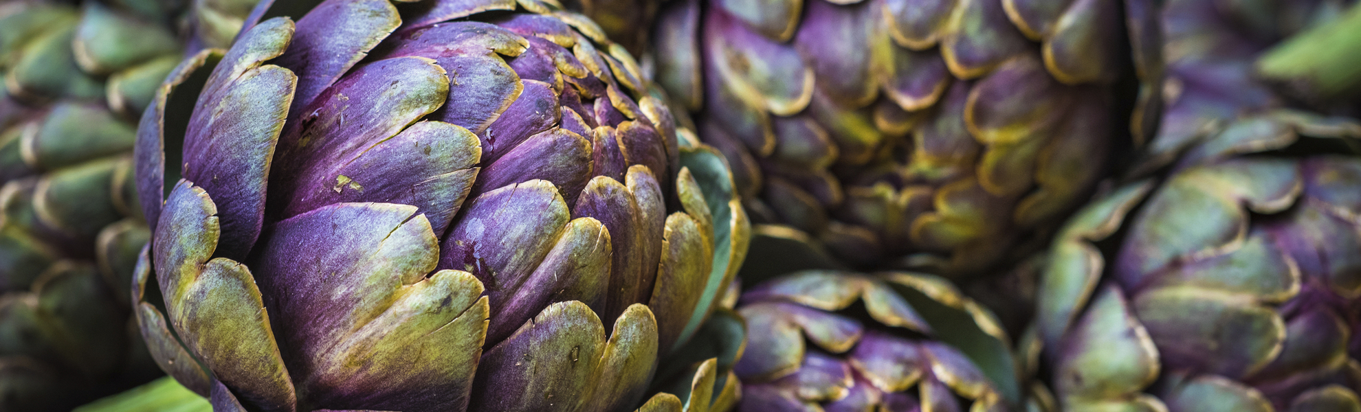 Artischocken, Italien