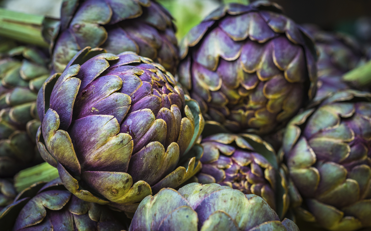 Artischocken, Italien