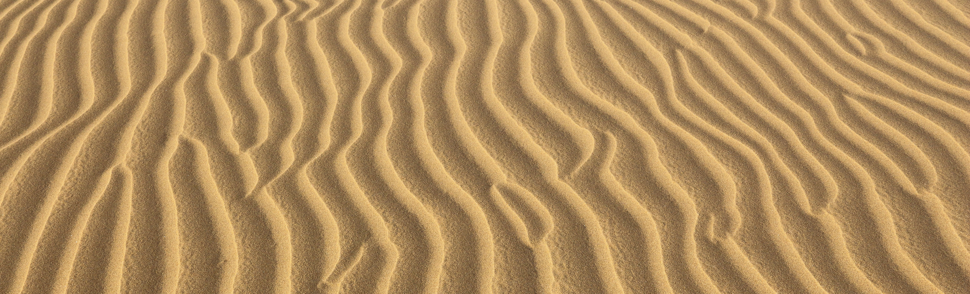 Die Sanddünen von Maspalomas, Gran Canaria, Kanaren