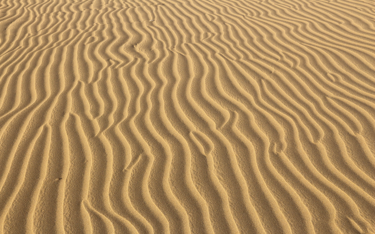 Die Sanddünen von Maspalomas, Gran Canaria, Kanaren