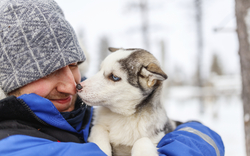Abenteuer, Natur, Kultur - Zwischen Bremerhaven und Montreal