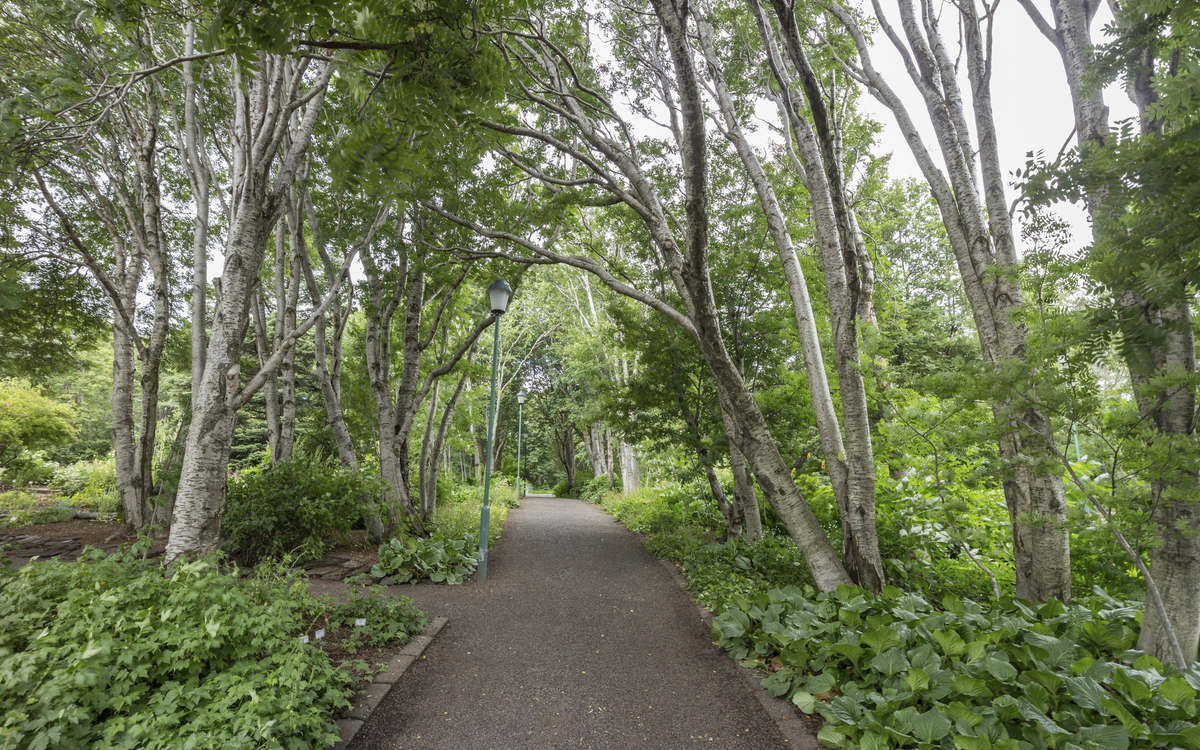 Botanischer Garten in Akureyri, Island