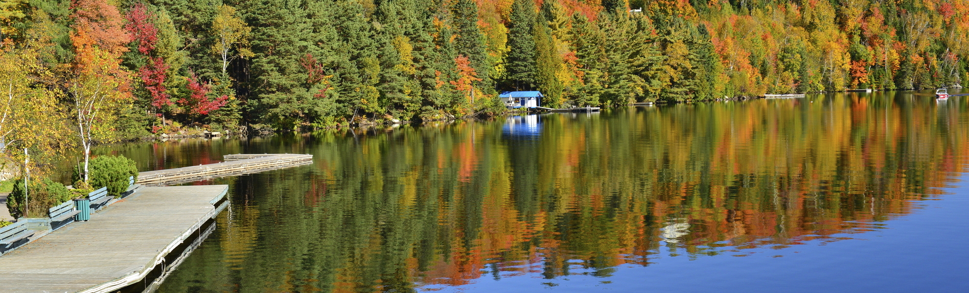 Laurentian Forest in Quebec, Kanada
