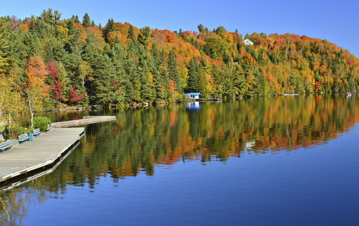 Laurentian Forest in Quebec, Kanada