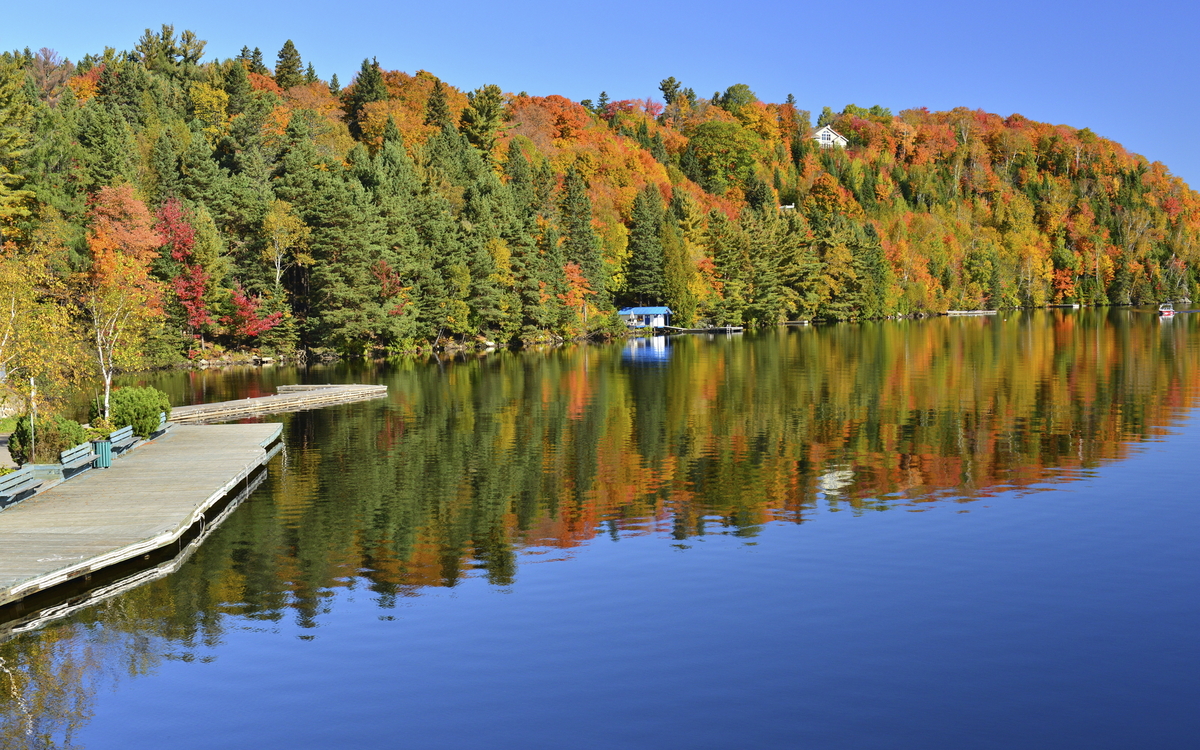 Laurentian Forest in Quebec, Kanada