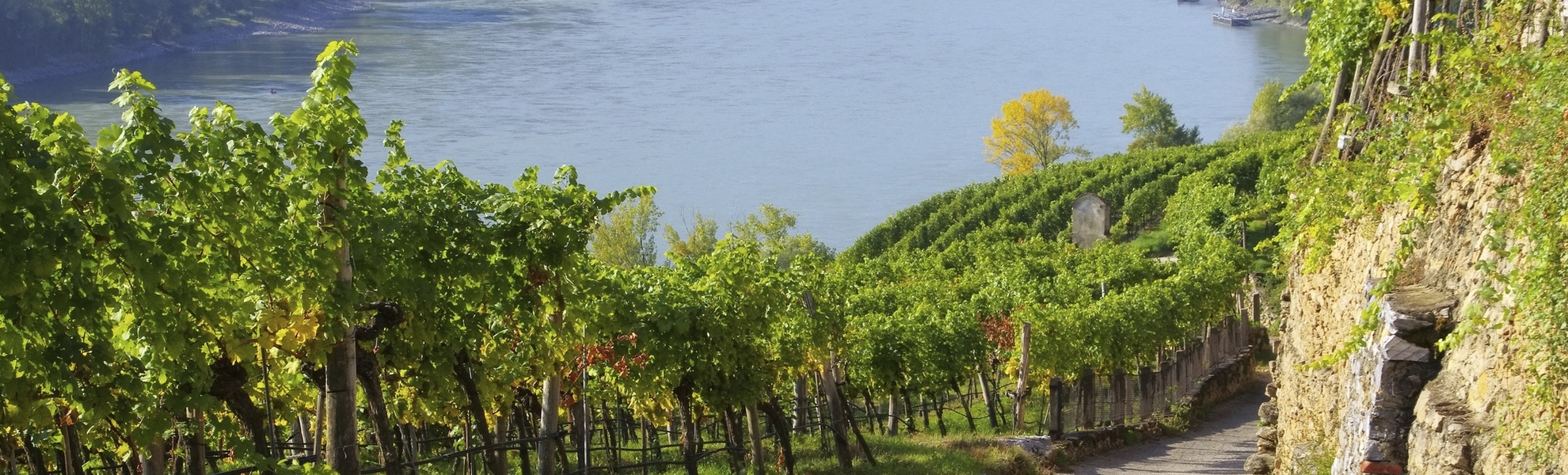 Wachau an der Donau, Österreich
