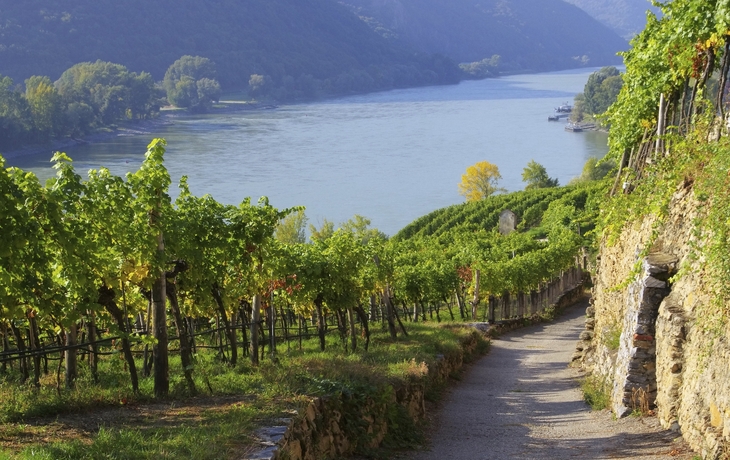 Wachau an der Donau, Österreich