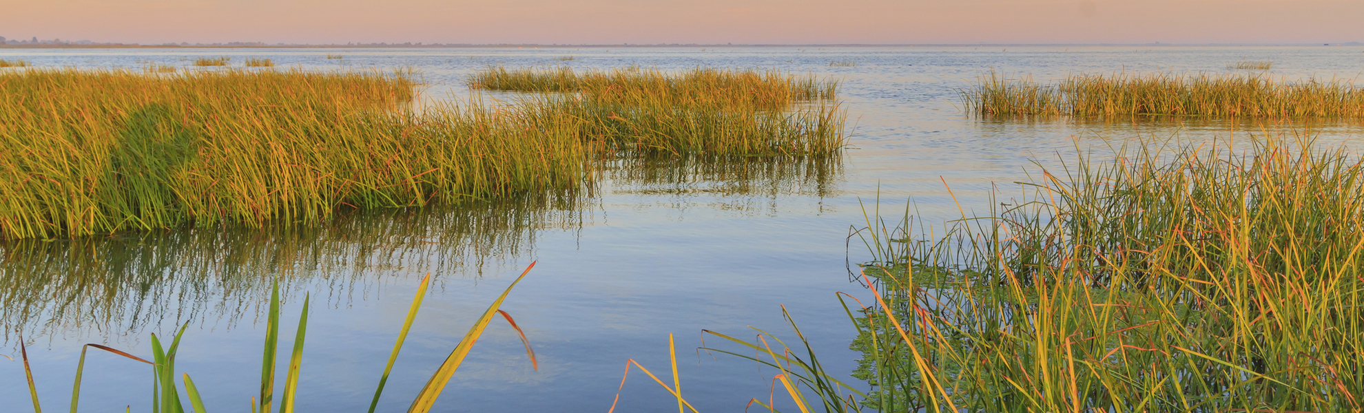 Danube Delta, Rumaenien