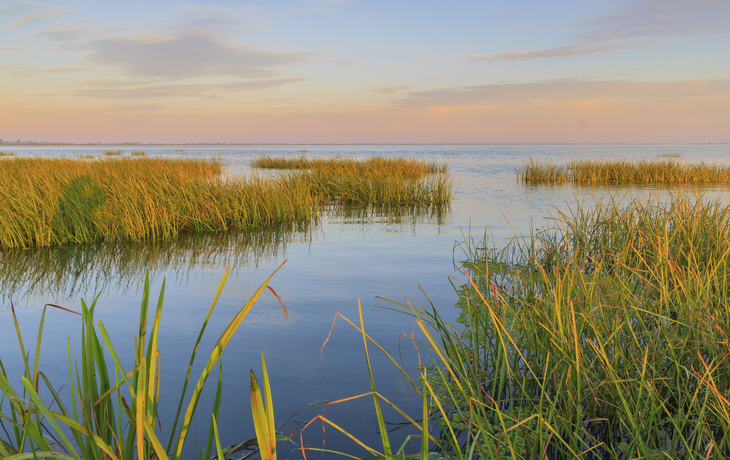 Danube Delta, Rumaenien