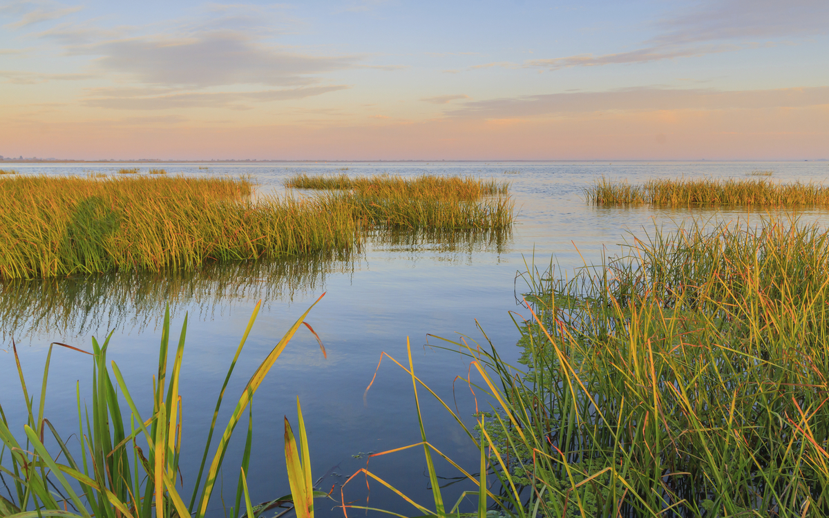 Danube Delta, Rumaenien