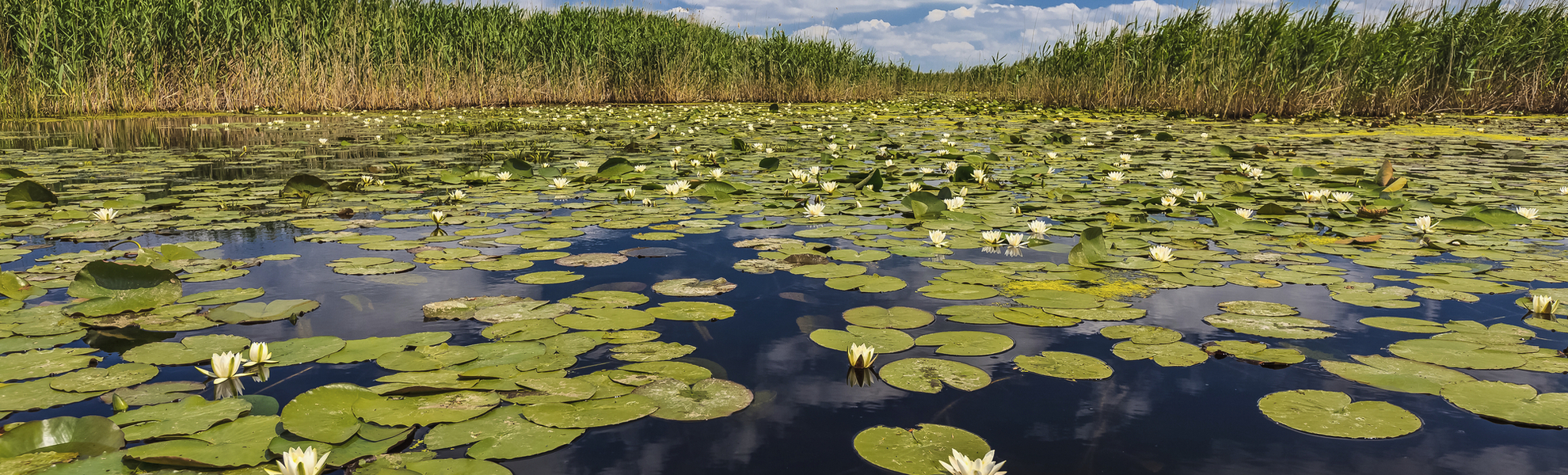 Donaudelta in Rumänien
