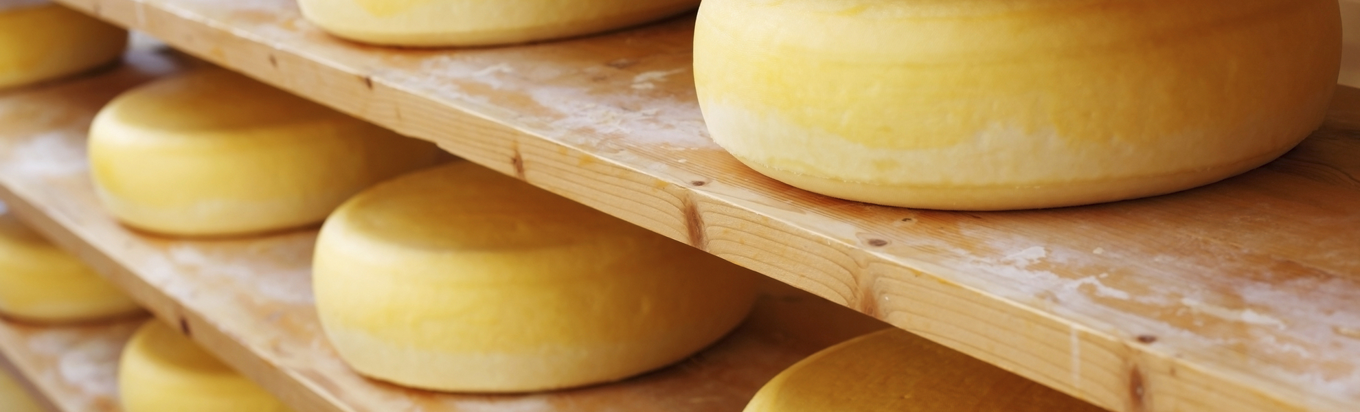 Kaese in der Produktion