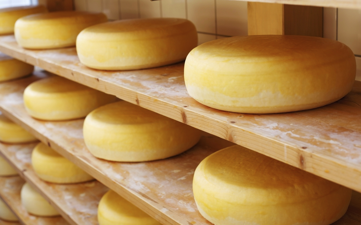 Kaese in der Produktion