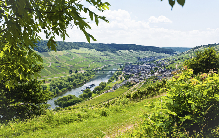 Zell an der Mosel, Deutschland