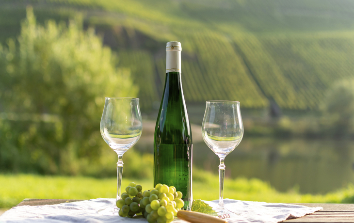 Weinberge im Hintergrund