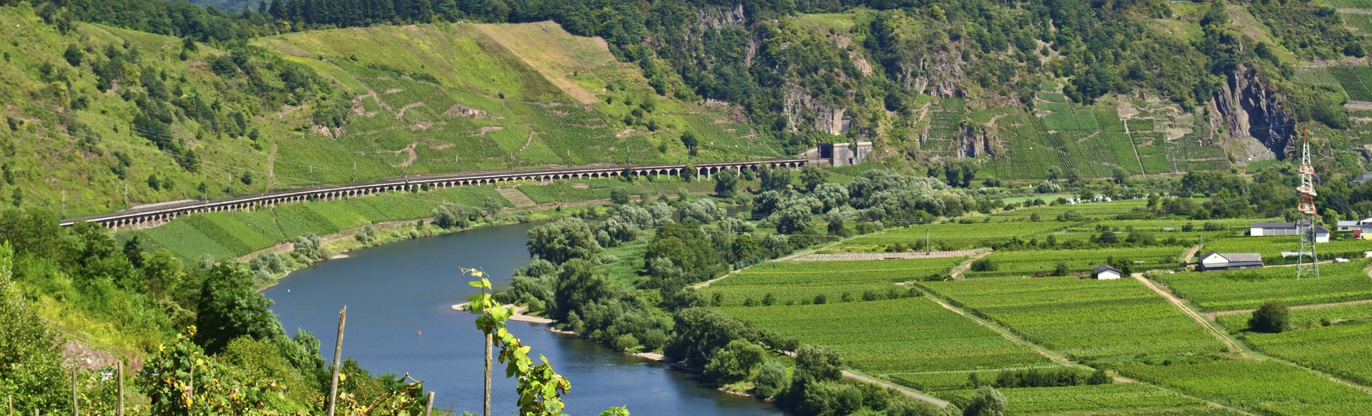 Panorama von Mosel und Weinbergen in Deutschland