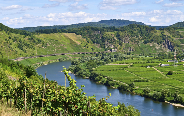 Panorama von Mosel und Weinbergen in Deutschland