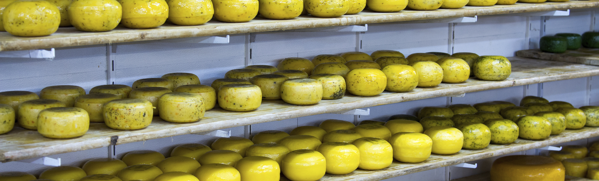 Käserei in Volendam, Niederlande