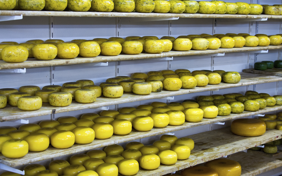 Käserei in Volendam, Niederlande