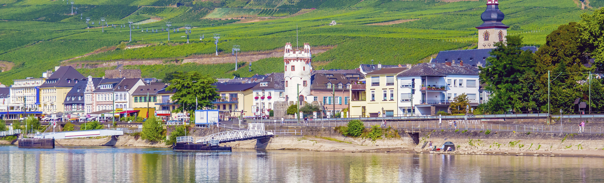 Blick auf die Weinberge bei Ruedesheim, Deutschland