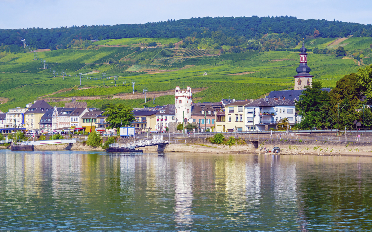Blick auf die Weinberge bei Ruedesheim, Deutschland