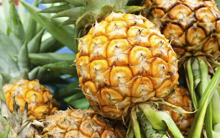 frische Ananas