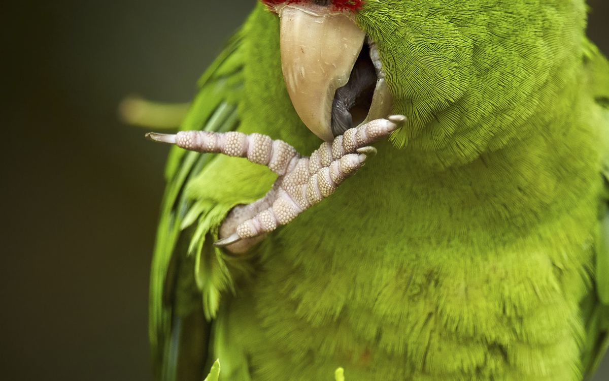 Tayrona Nationalpark in Santa Marta, Kolumbien