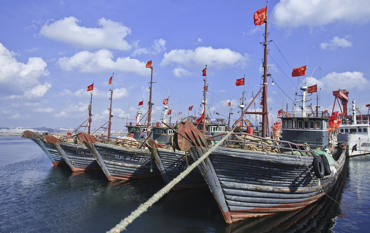 Holzboote am Hafen von Dalian, China