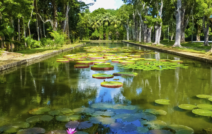 Port Louis, Botanischer Garten
