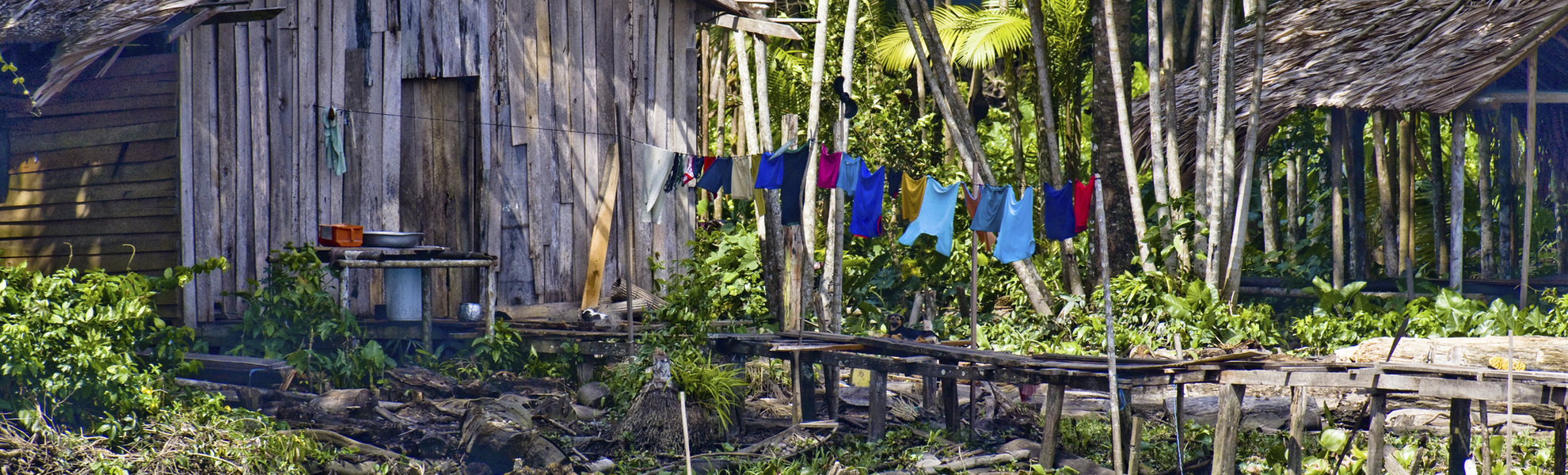 Steg vor der Huette im Amazonas, Brasilien