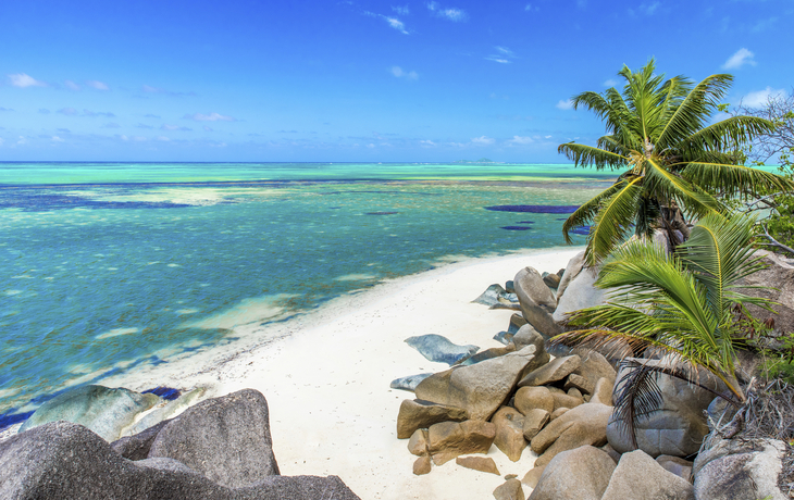 Strand mit Felsen und Palmen in Praslin, Seychellen