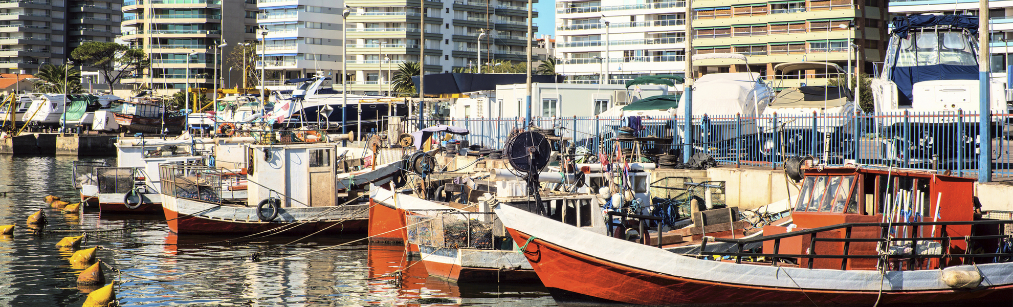 Fischerboote im Hafen von Punta del Este, Urugay