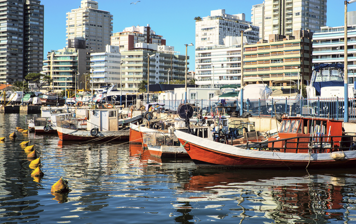 Fischerboote im Hafen von Punta del Este, Urugay