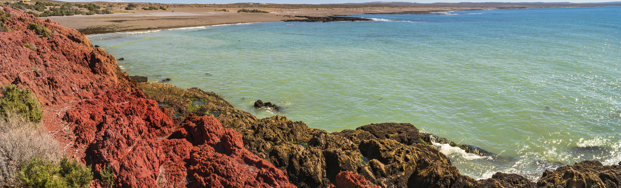 Pinguinkolonie, Punta Tombo