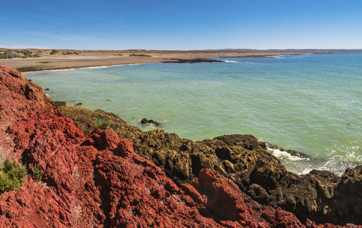 Pinguinkolonie, Punta Tombo