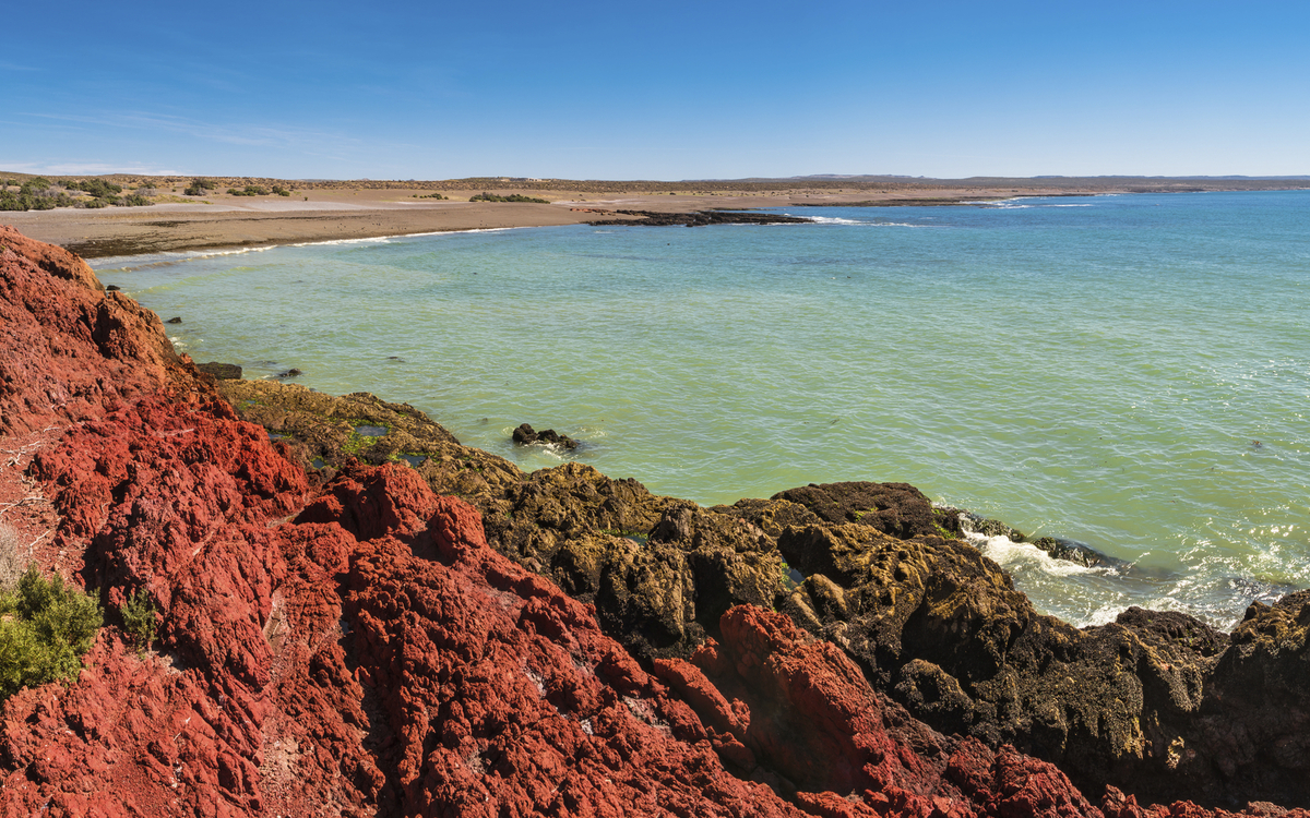 Pinguinkolonie, Punta Tombo