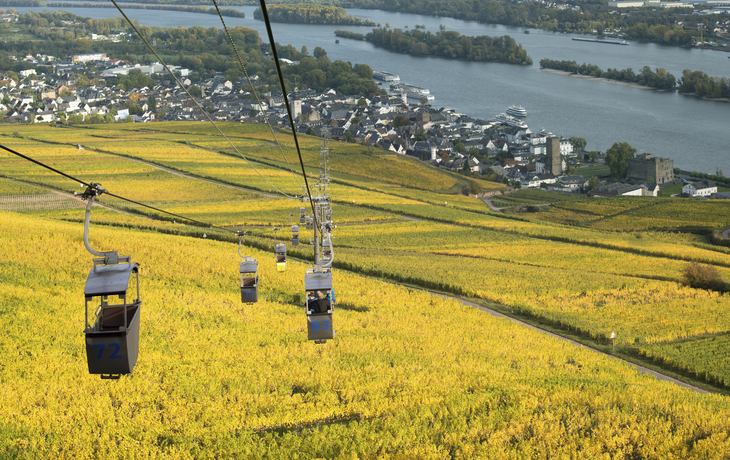 Seilbahn ueber den Weinbergen von Ruedesheim, Deutschland