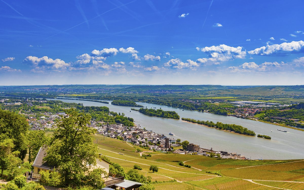 Luftansicht von Rüdesheim, Deutschland