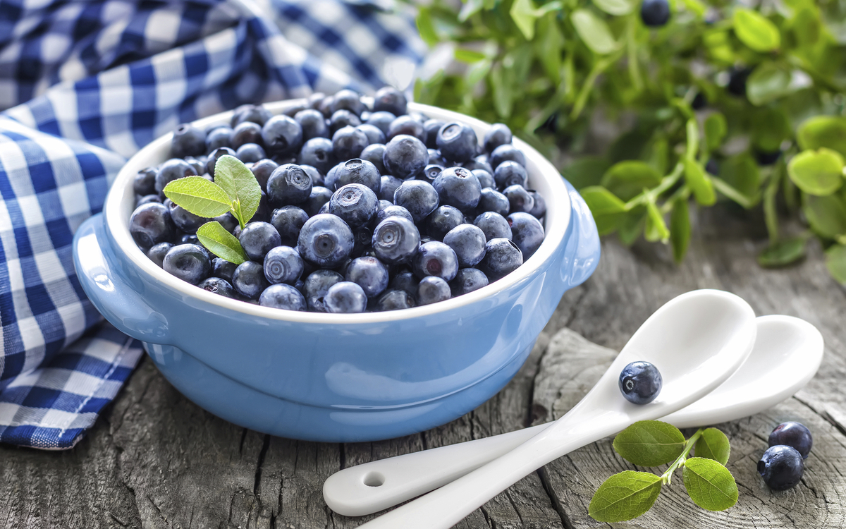 Heidelbeeren, Norwegen