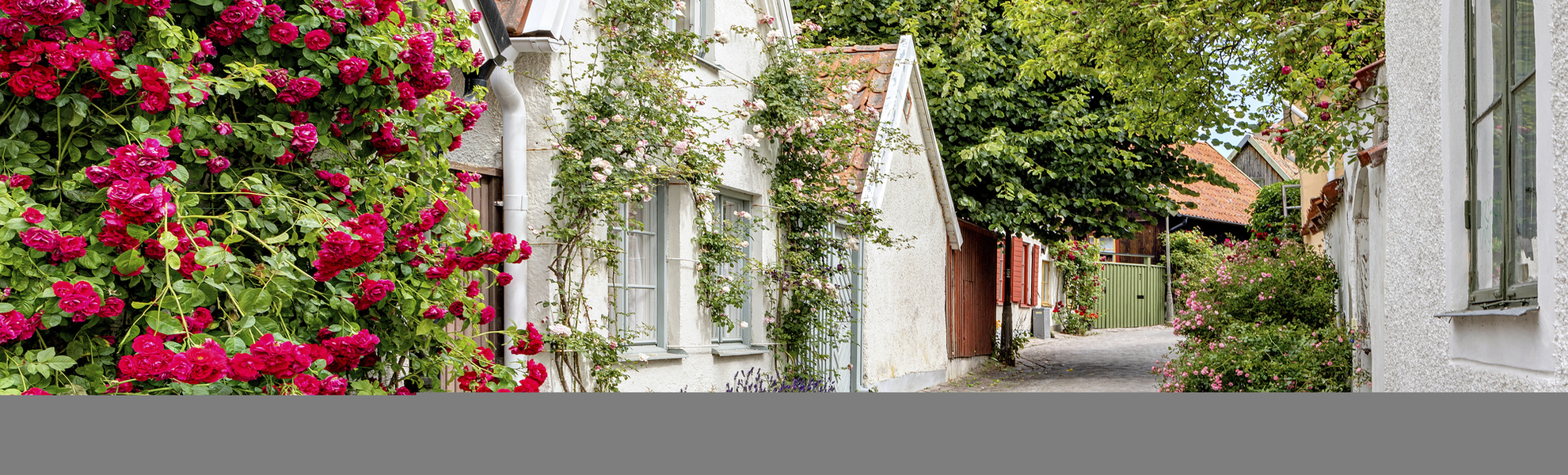 Rundgang in Visby, Schweden