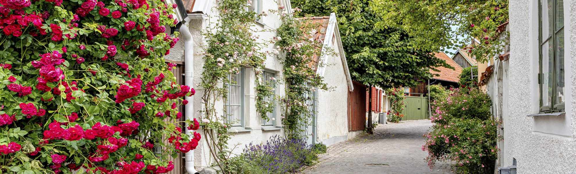 Rundgang in Visby, Schweden