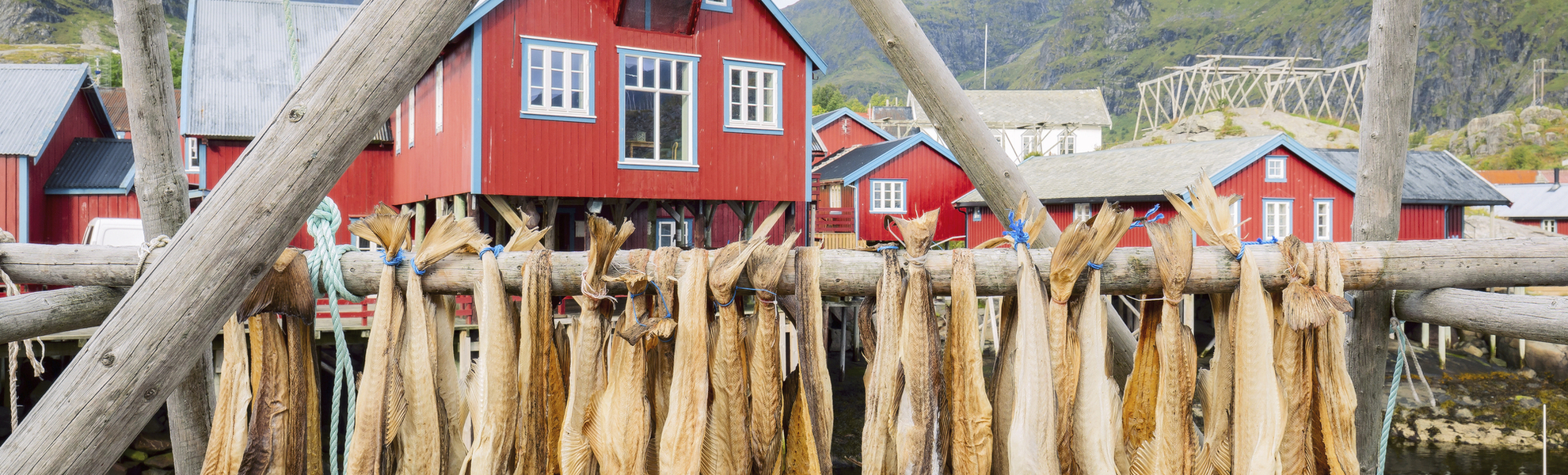 Stockfisch, Norwegen