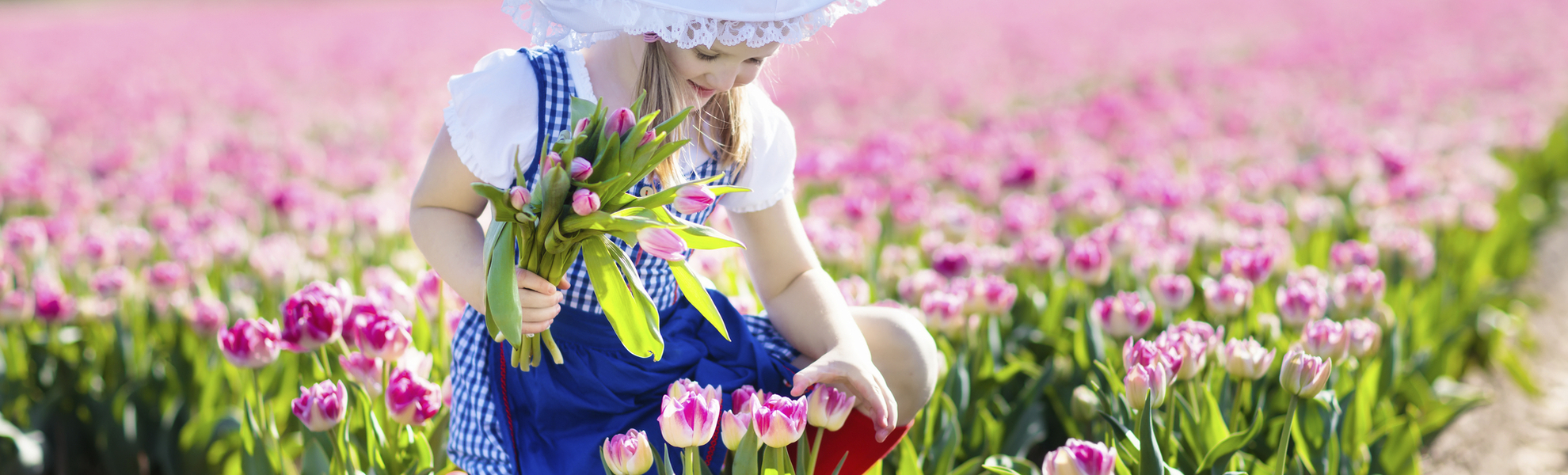 Menschen, Niedelande