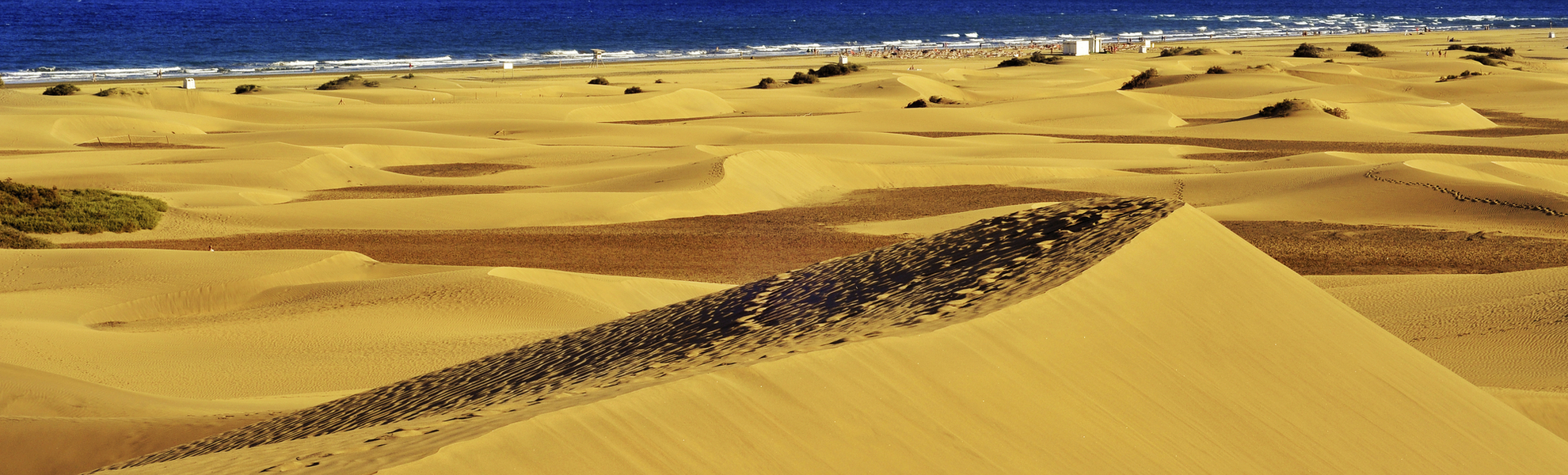 Dünen von Maspalomas in Gran Canaria, Spanien