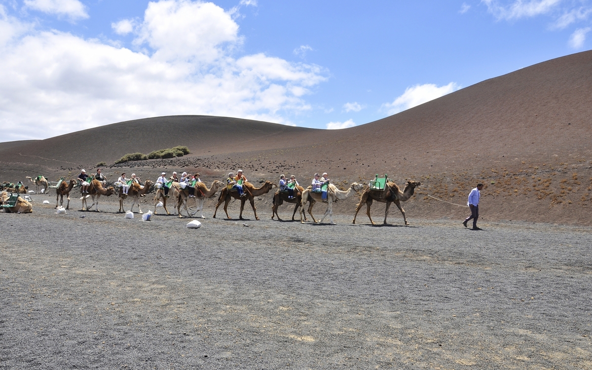 Kameltour durch die Welt der Vulkane in Arrecife auf Lanzarote, Spanien